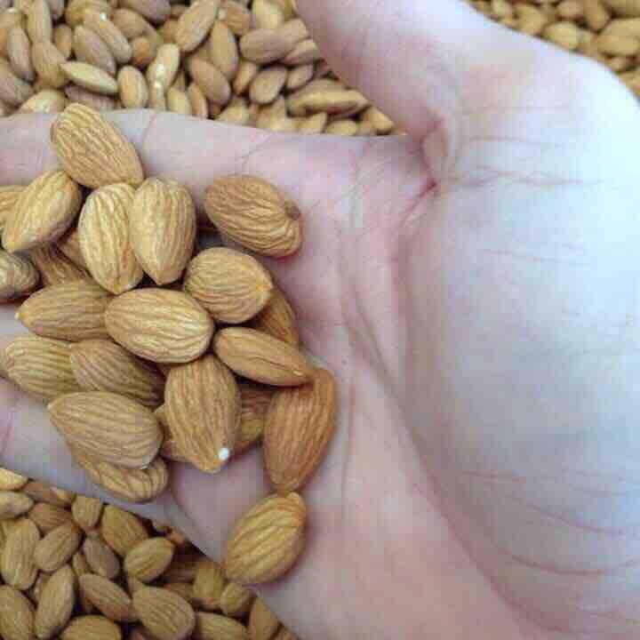 Hạnh Nhân Sống Tách Vỏ Làm Sữa 500g