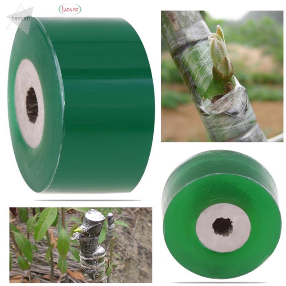 CUỘN NILON XANH GHÉP CÂY 5 CM