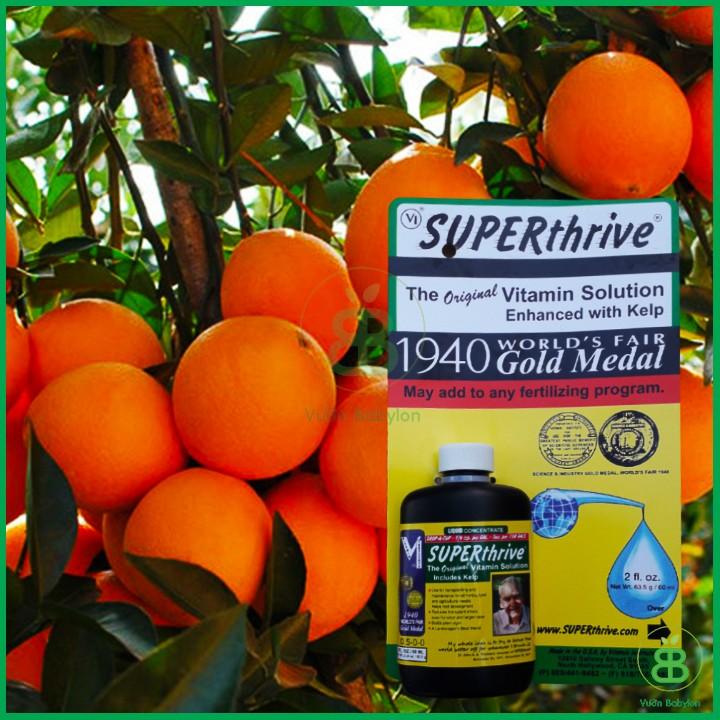 Phân bón superthrive  tăng trưởng cây hoa kiểng 120ml