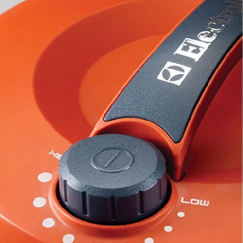 Máy Hút bụi Electrolux Z931