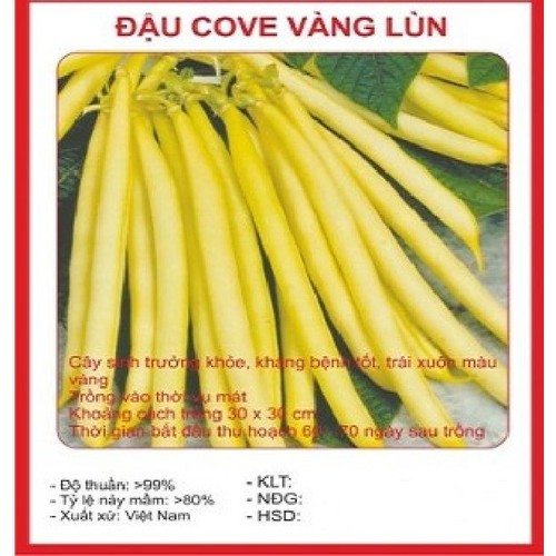 Hạt giống đậu cove lùn vàng - Gói 50 gram