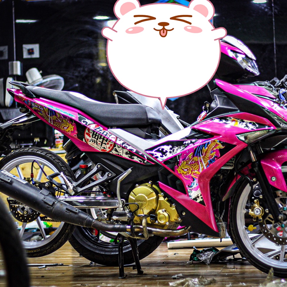 Tem rời Exciter 150 cá chép dán xe hồng