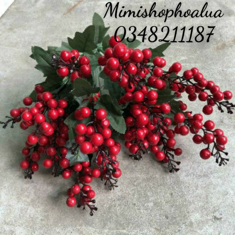 cherry chùm 7 nhánh