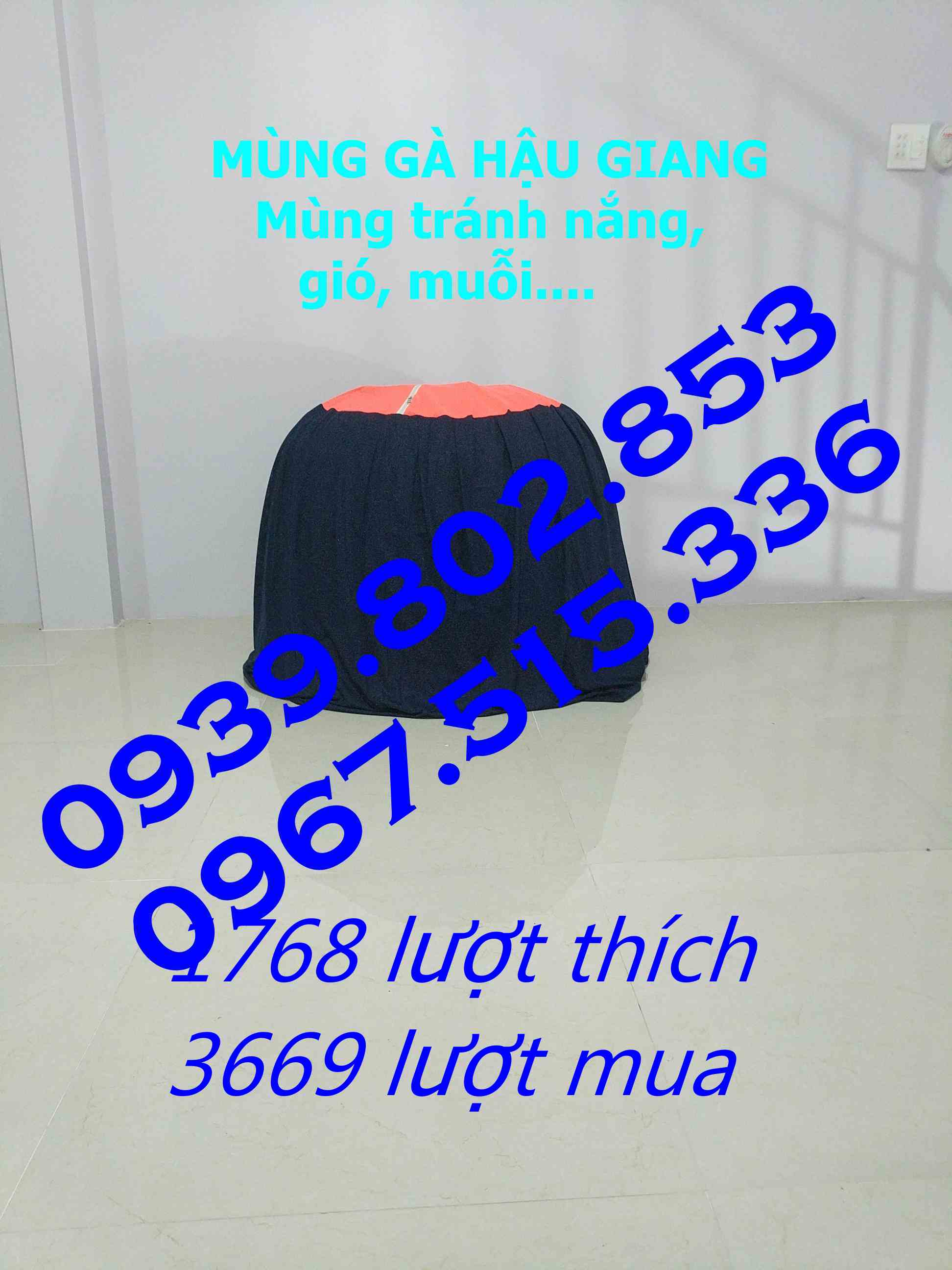 5 mùng trùm bội gà tre 90cm