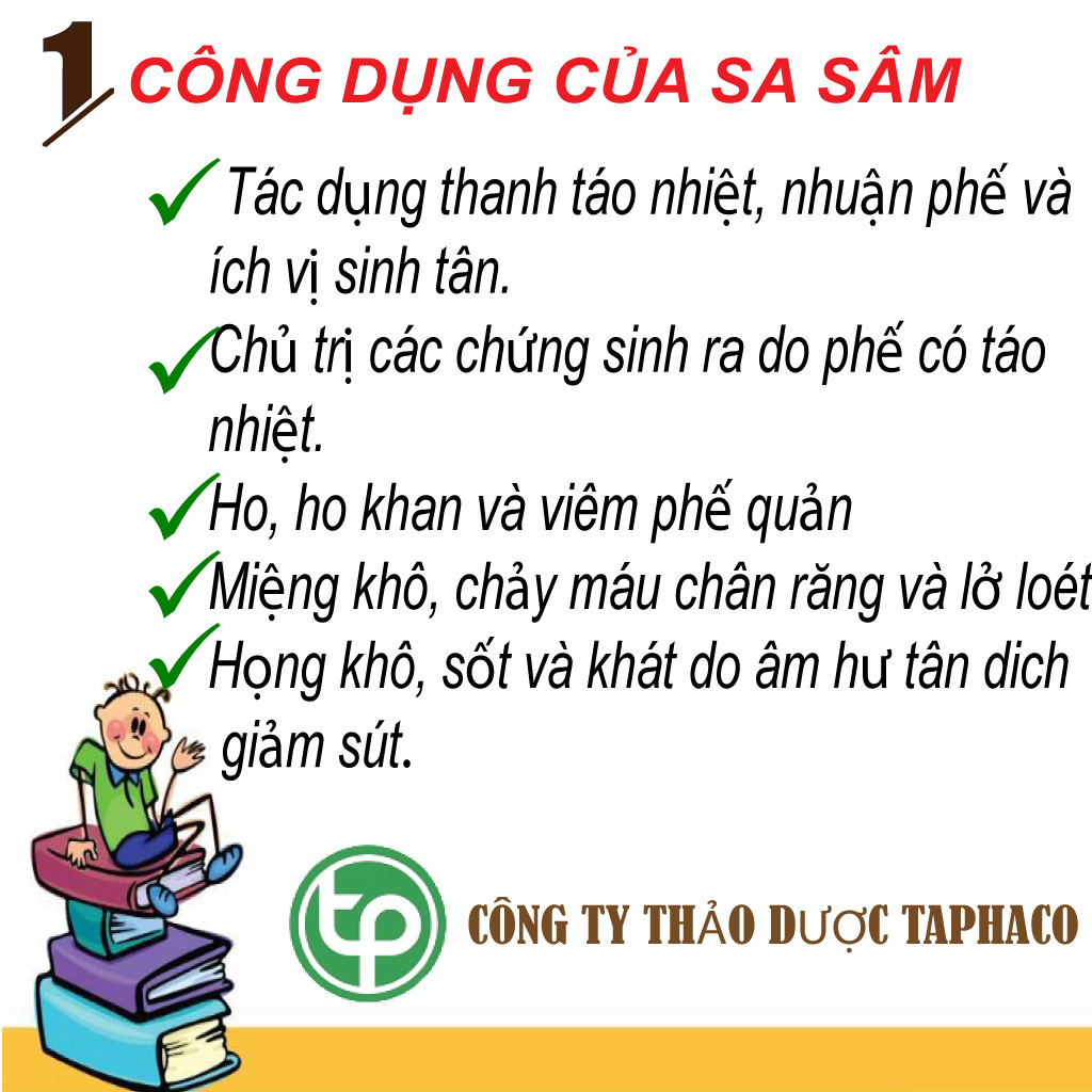 Sa sâm khô 100g, Thơm, Sạch, Bắc sa sâm - tấn phát
