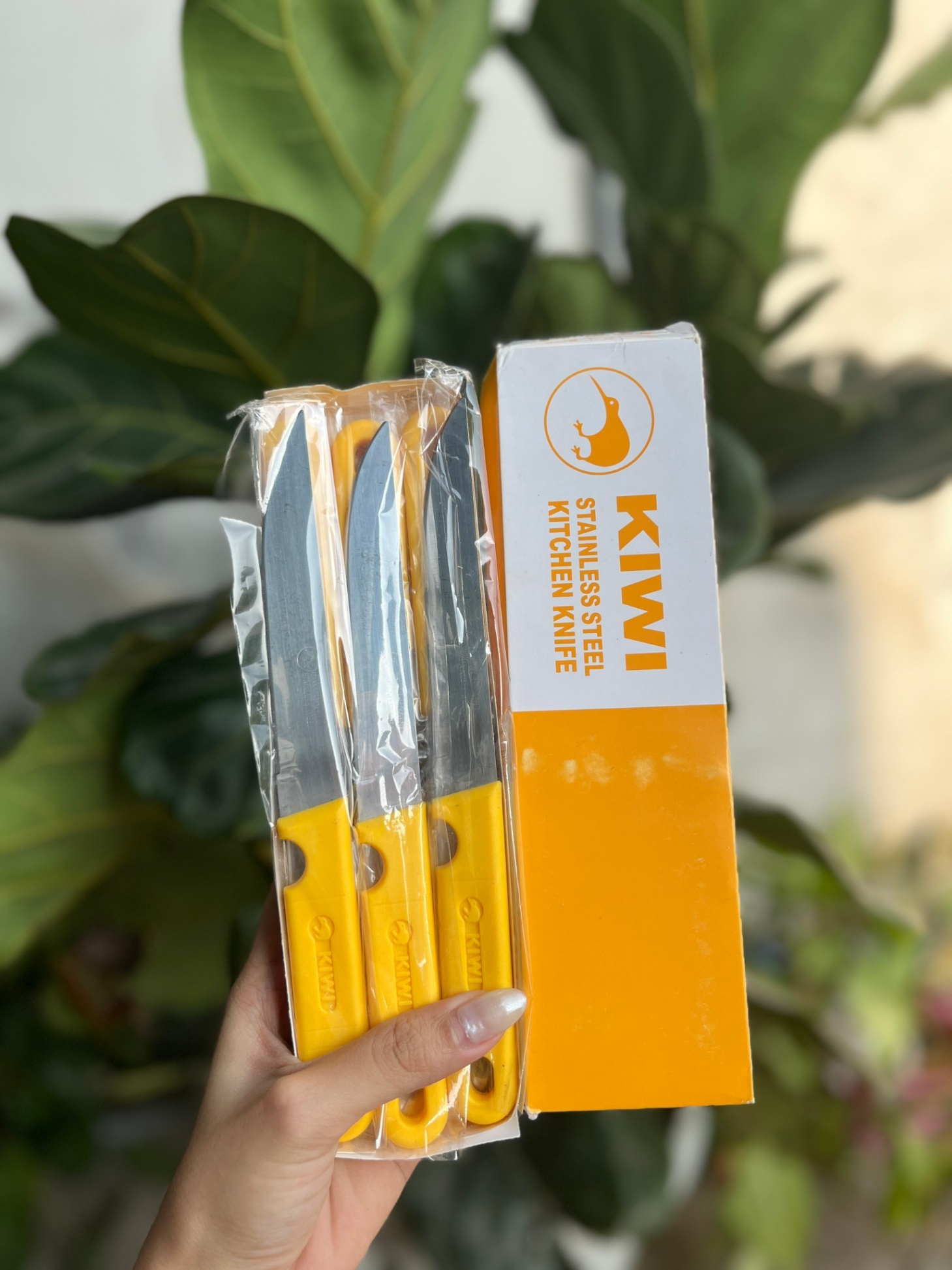 Dao Gọt Hoa Quả Kiwi Thái Lan Cán Vàng