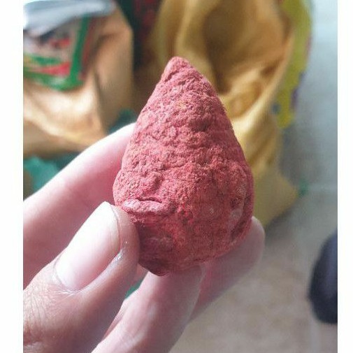 Củ nghệ cho gà đá củ nghệ đỏ gà chọi nghệ quét gà đá