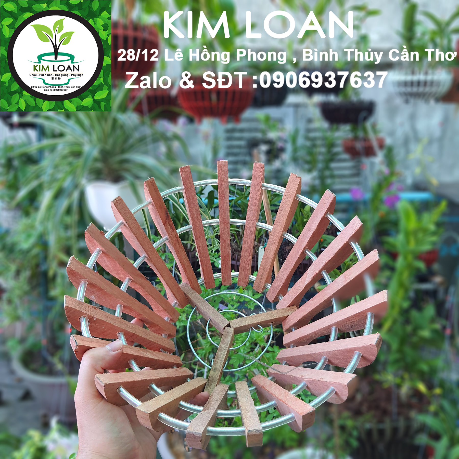 Chậu lan gỗ hình cốc