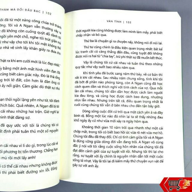 Sách - Lấy Tình Thâm Mà Đổi Đầu Bạc - Vãn Tình