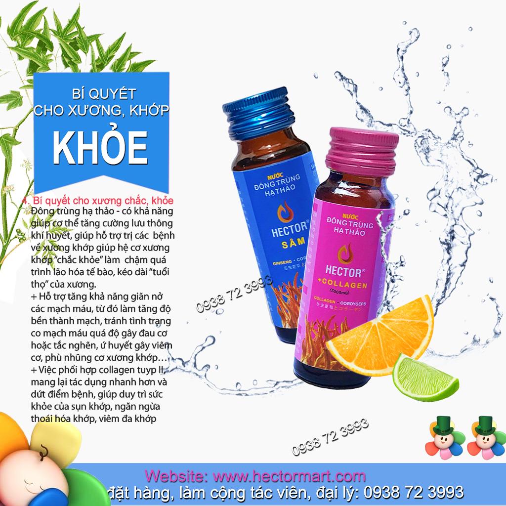 Đông trùng hạ thảo Hector Sâm (Hộp 10 Chai)