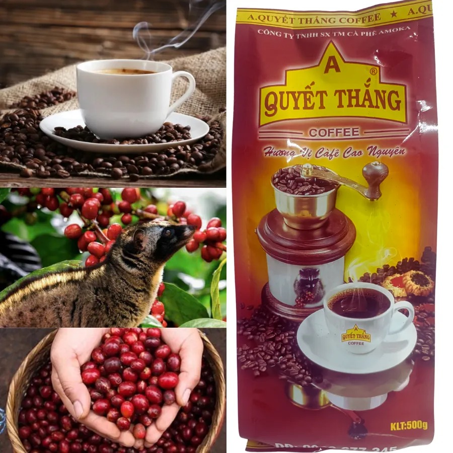 Cà phê Chồn Gu mạnh 500gr Cà phê chồn moka Quyết Thắng rang bơ pha phin siêu ngon