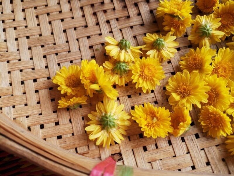 Trà hoa cúc vàng sấy gói 20 gram