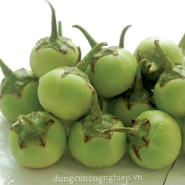 Hạt giống Cà Pháo xanh Hoàng Mai