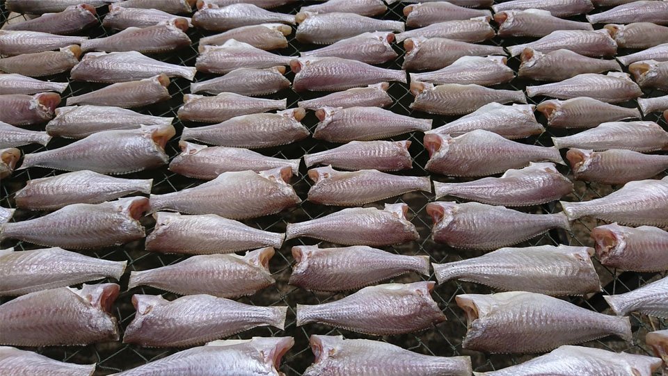 KHÔ CÁ ĐÙ 1KG [khô 2 nắng vừa tới]