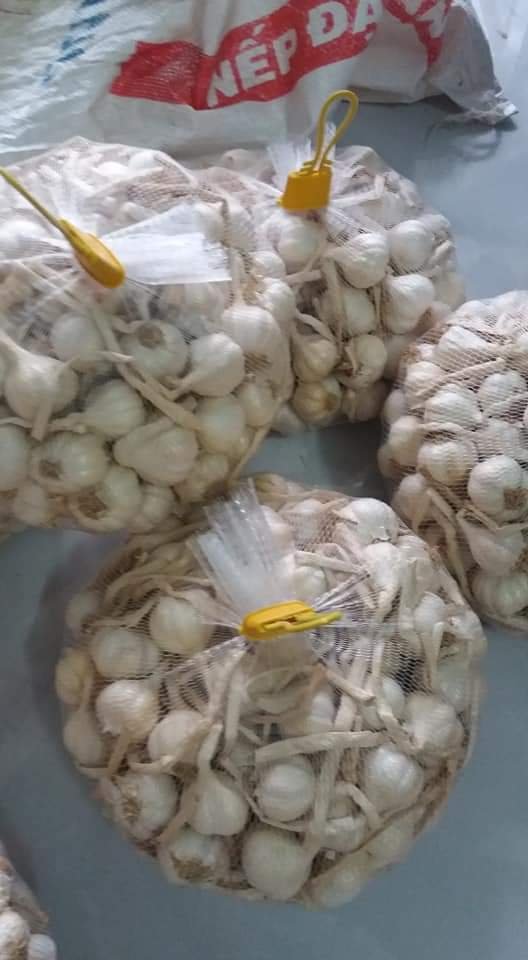 Tỏi Lý Sơn loại 1