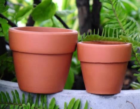 chậu đất nung nâu lớn