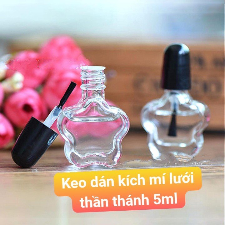 Keo dán mí lưới (Keo hoa Mai)