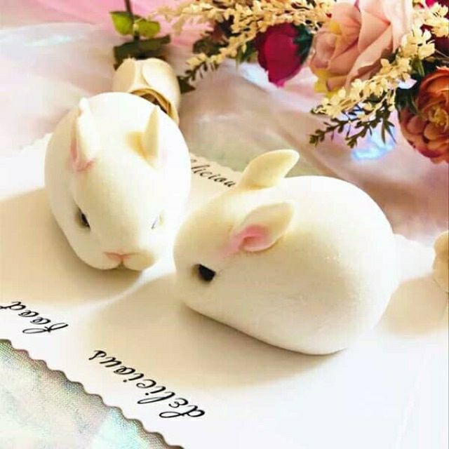 Khuôn silicone 4d con thỏ nằm