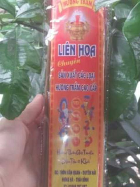 nhang trầm cuộn tàn (hình thật) 100 que(cây) 1 túi [mua 5 túi tặng 1 túi =6 túi {600 nén }]