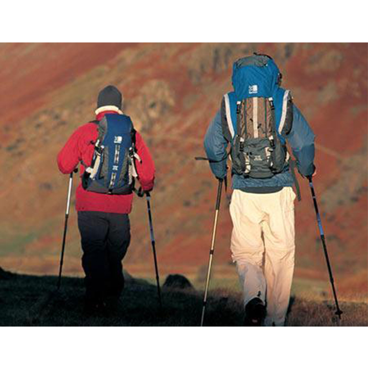 [HCM]Gậy leo núi đi rừng trekking GA2