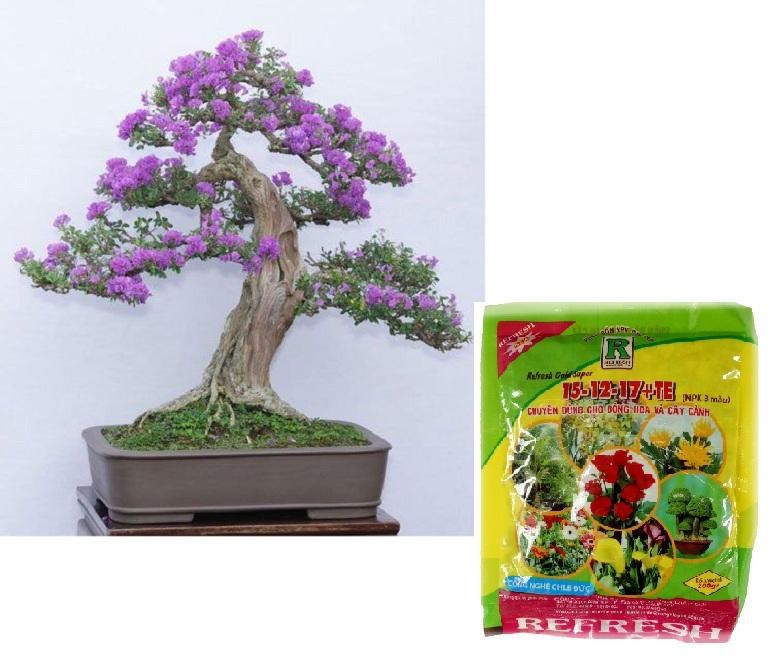 Phân bón NPK 3 màu kích thích cây phát triển chuyên dùng cho hoa, cây cảnh Refresh Gold Super 200gr