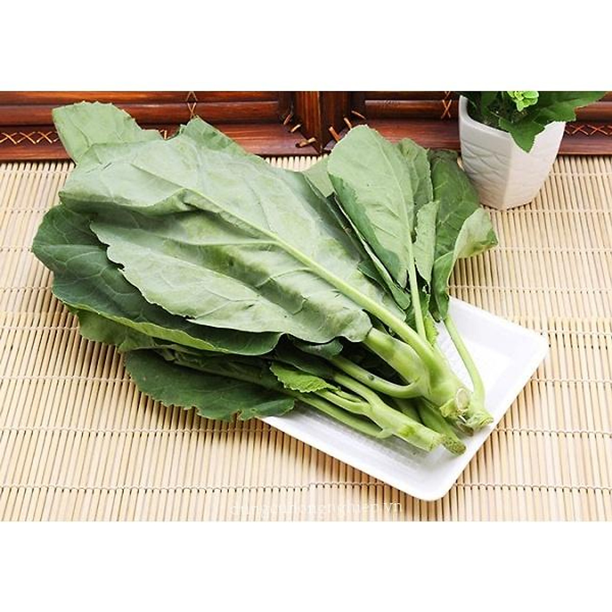Hạt giống cải rổ Rạng Đông Rado 305