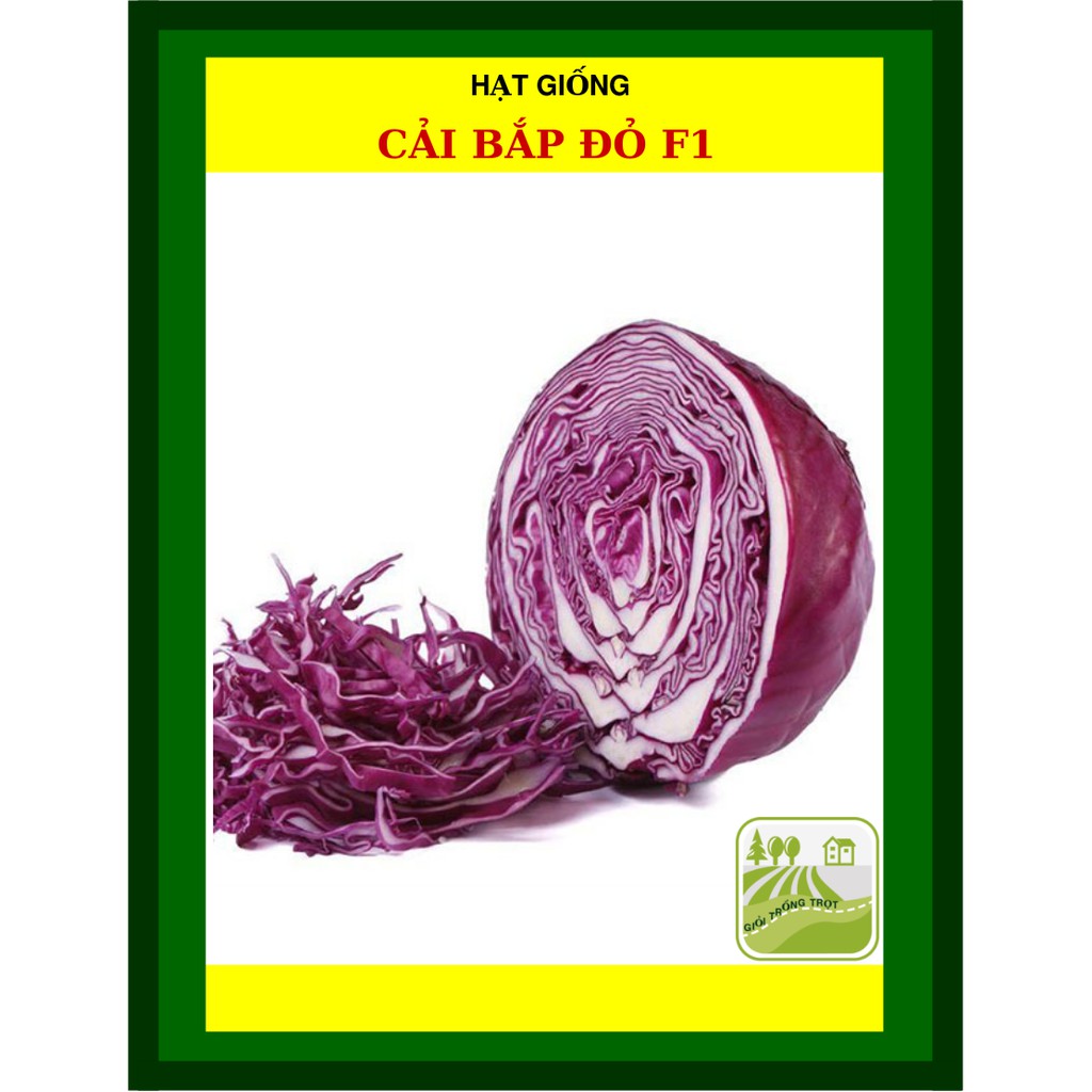 1G - Hạt Giống Cải Bắp Đỏ
