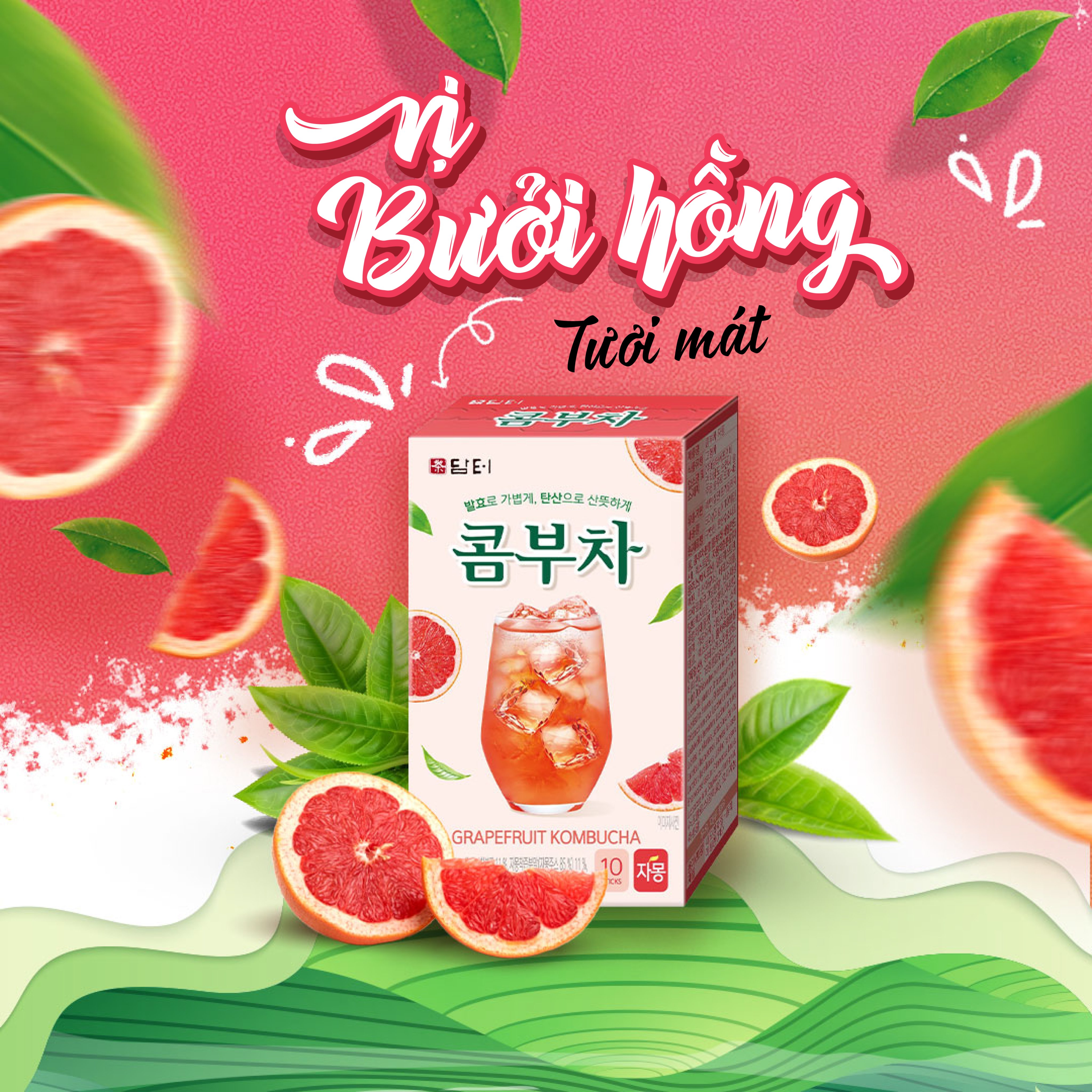 Trà Kombucha Damtuh Hàn Quốc Vị Trái Cây