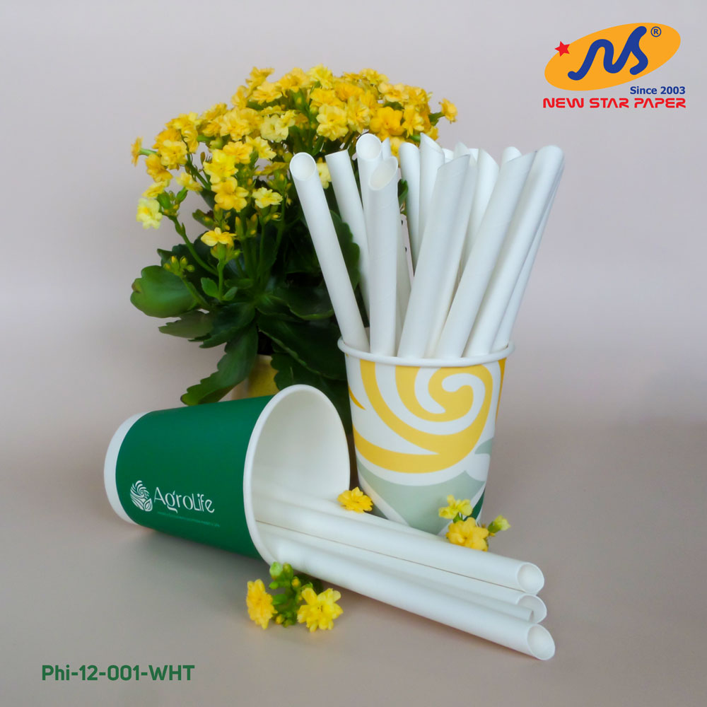 Phi 12 - Hộp 250 ống hút giấy làm từ sợi mía