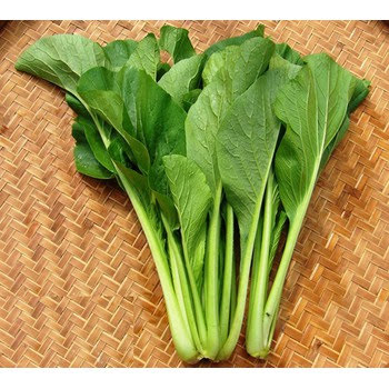 Hạt giống Cải ngọt Cọng Xanh