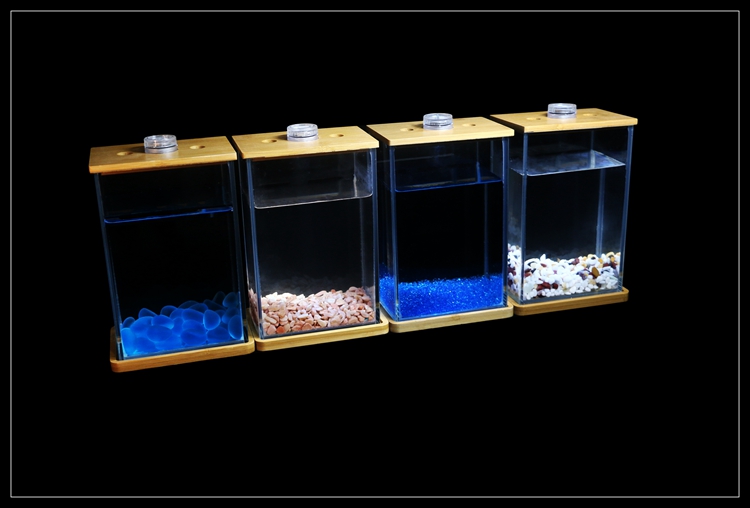 Bể cá chọi Betta-02