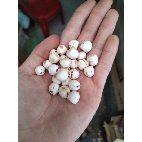 100G Hạt sen khô loại ngon