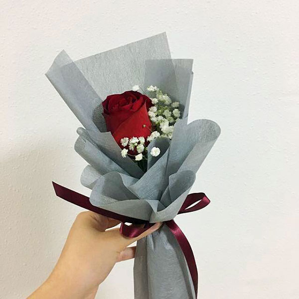 HẠT GIỐNG CẢI MÈO HÀ GIANG