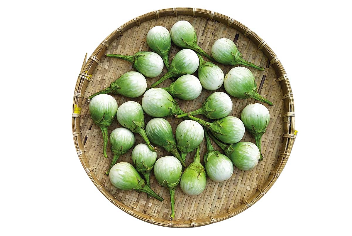 Hạt Giống Cà Pháo Cao Sản
