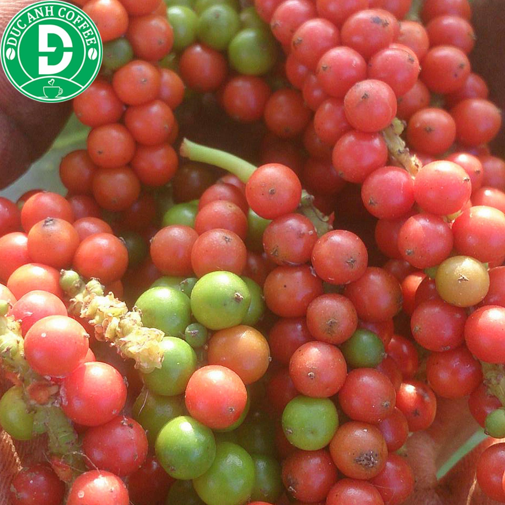 gói 500g tiêu hạt sạch đắk lắk chưa xay, tiêu cay, thơm chất lượng được trồng xen canh nông trại công ty cafe đức anh 3