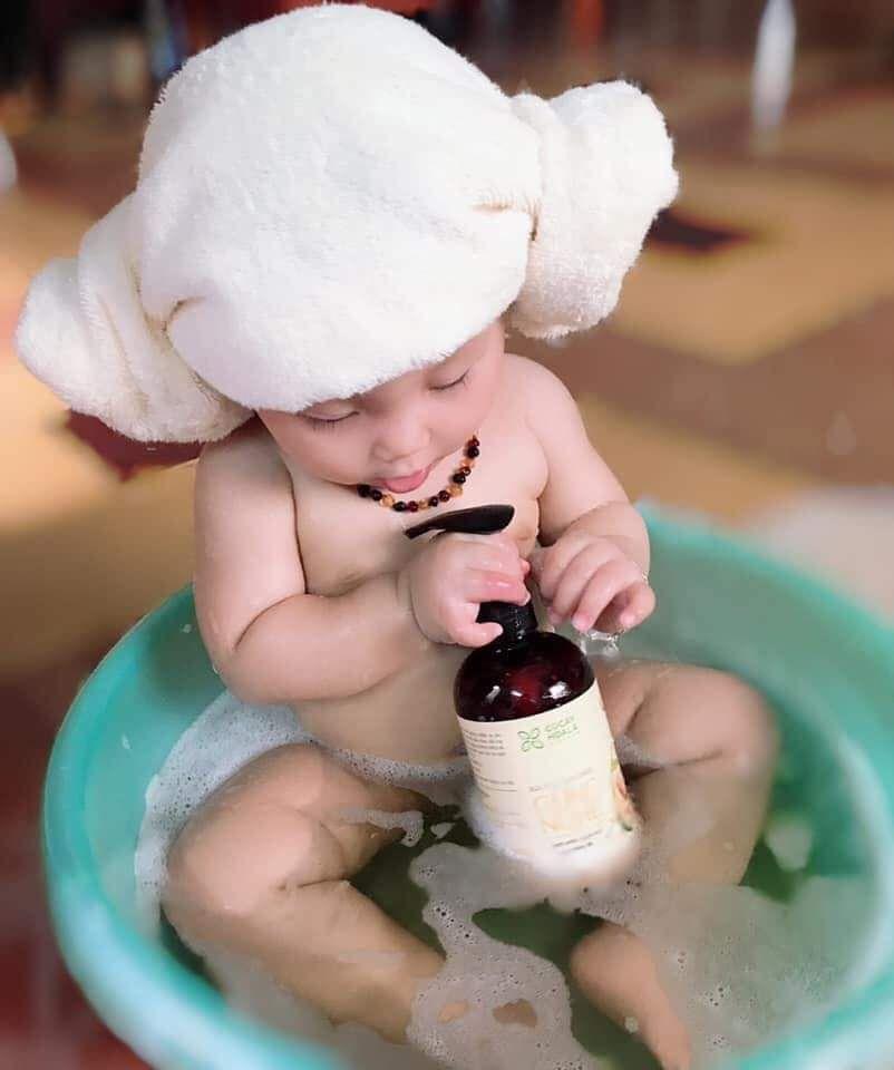 [Cỏ cây hoa lá } Sữa tắm thảo dược gừng nghệ