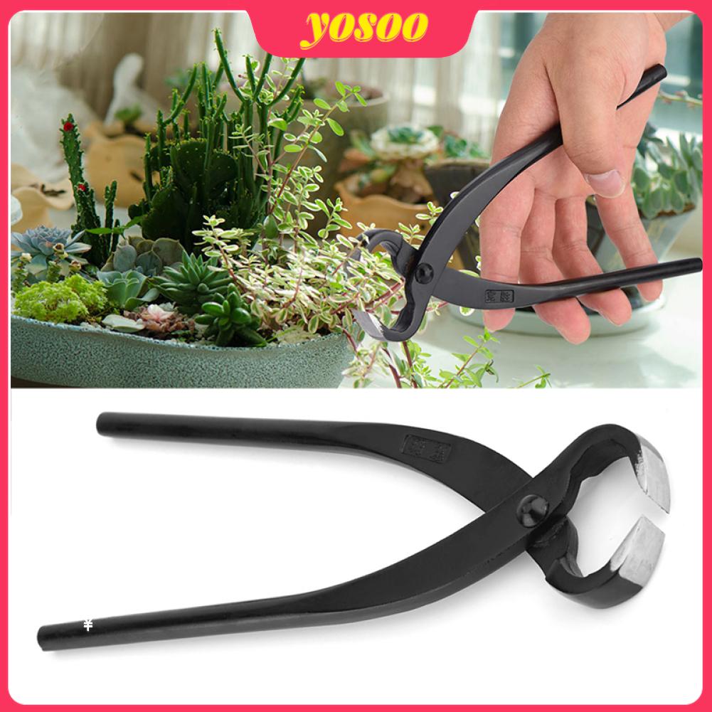 205mm Professional Grade Manganese Steel Alloy Concave Root Cutters Bonsai Tools