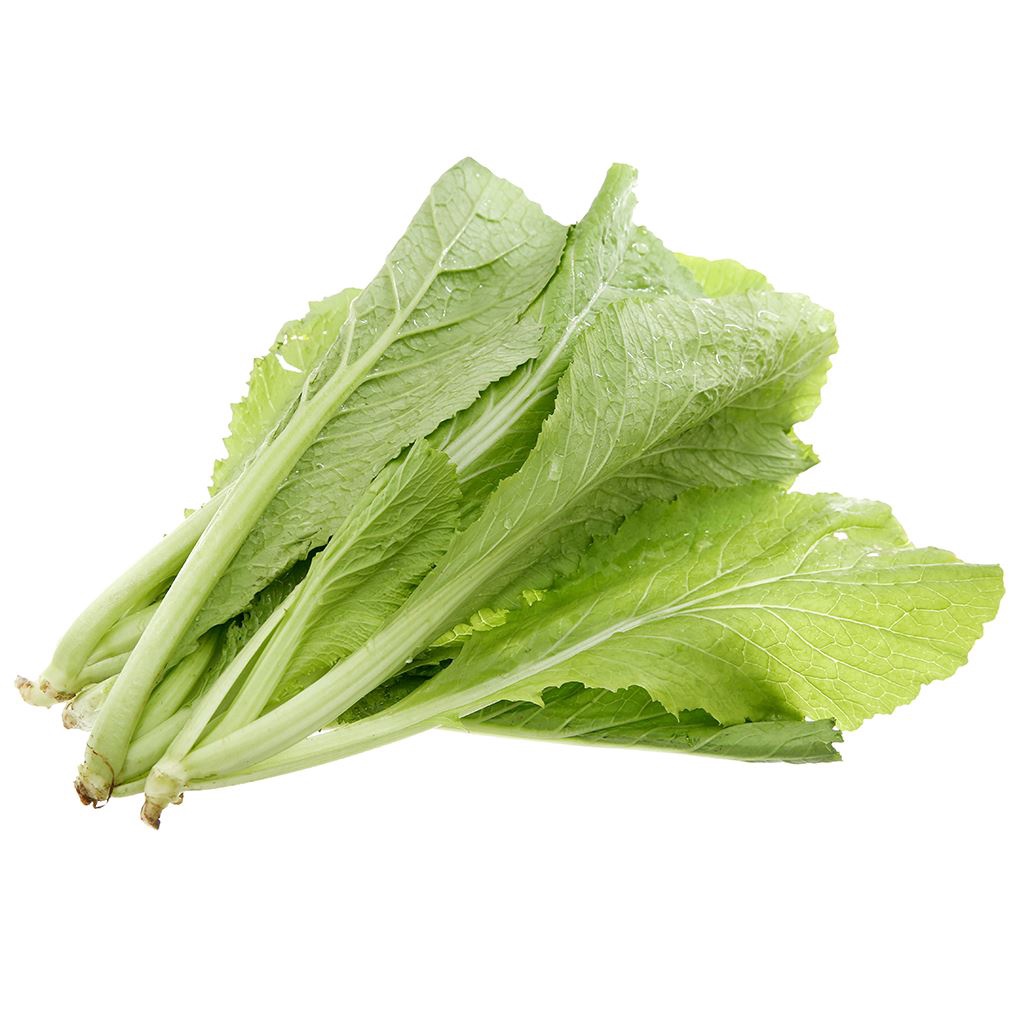#Hạt_Giống_Cải _Bẹ _Xanh