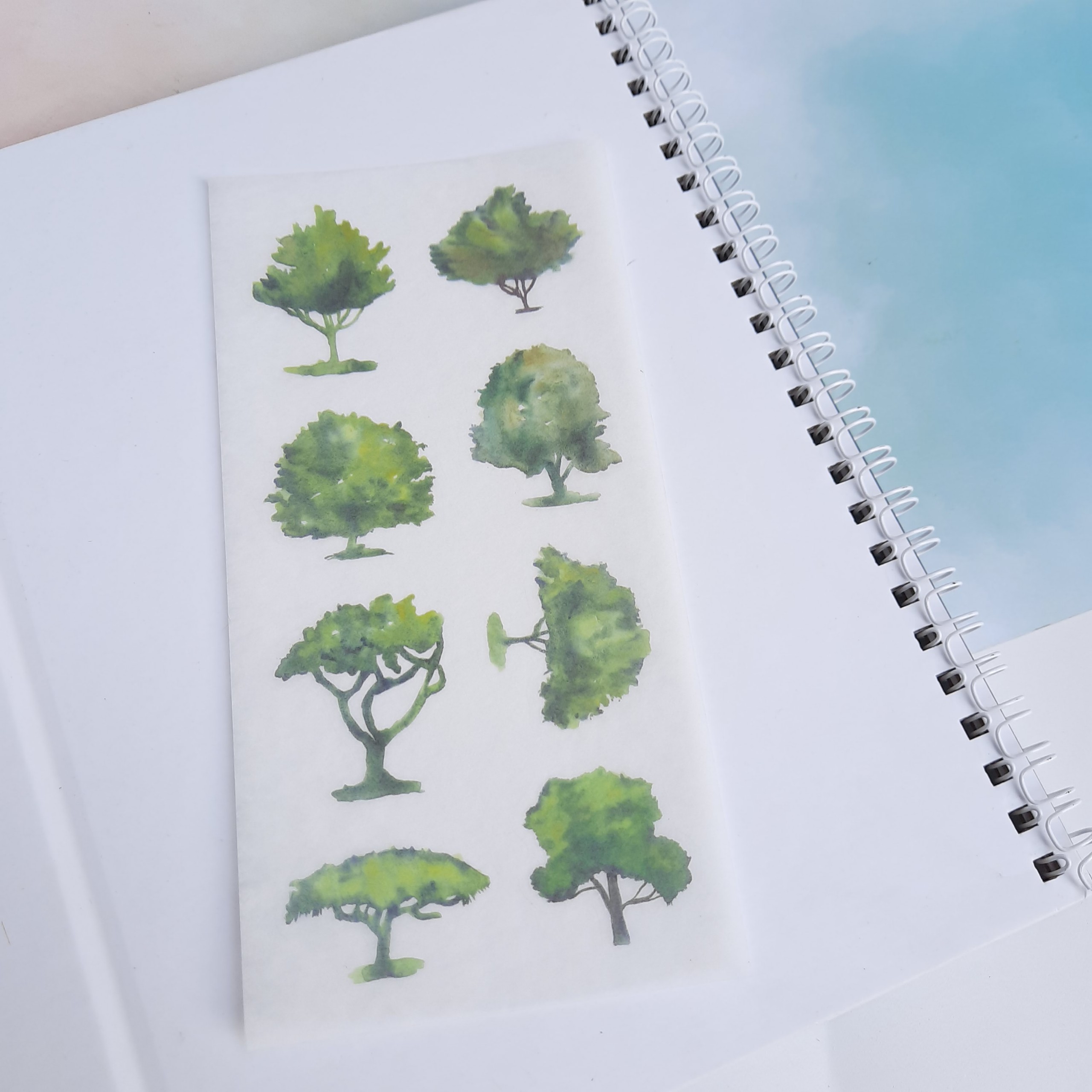 [HCM]Bộ 6 Tấm Sticker Cây Xanh