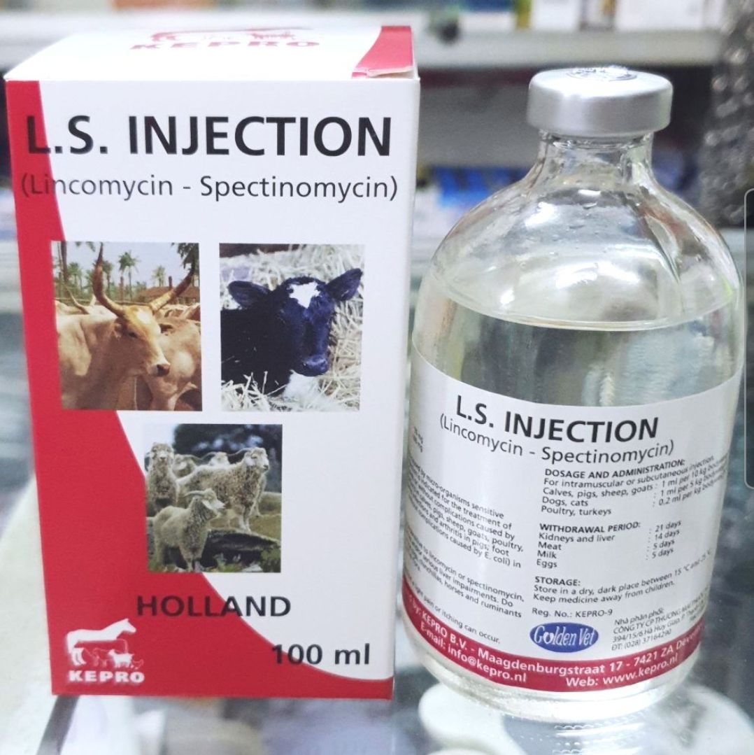 LINCO SPECTIN Hà Lan (100ml) - Tri. khò khè, hen khẹc, sưng mắt, phù đầu,tiêu chảy cho gà đá (Tặng ống tiêm)