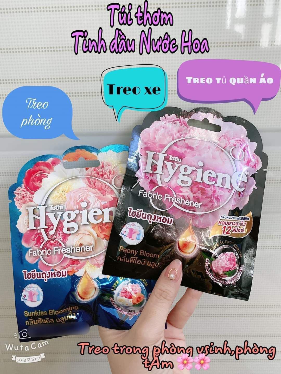 Túi Thơm Hygiene Đậm Đặc (Màu Đen)