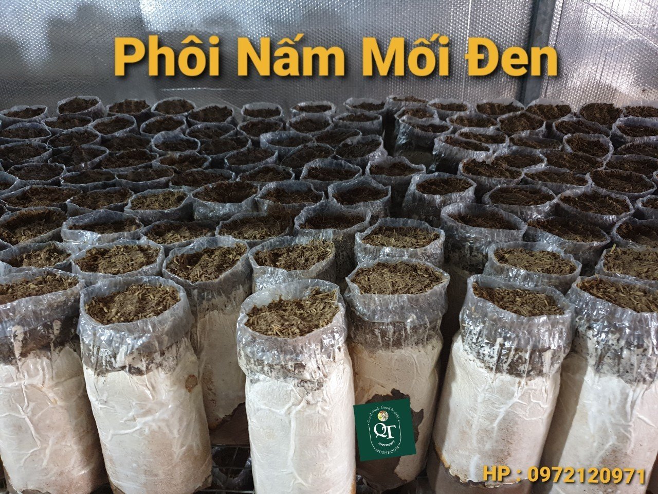 Phôi Nấm Mối Đen (1 kiện hàng 4 bịch)&Có Mụn Dừa Đủ Trồng