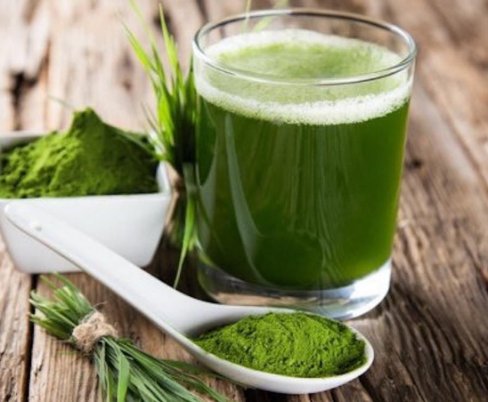 Bột mầm lúa mạch GRASS BARLEY 44 gói