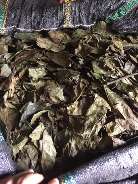 1kg of Peace Blackberry