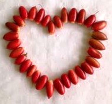 5 trai than ky chin an duoc