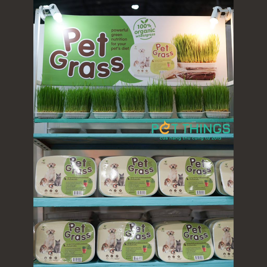 WHEATGRASS SEED FOR CAT