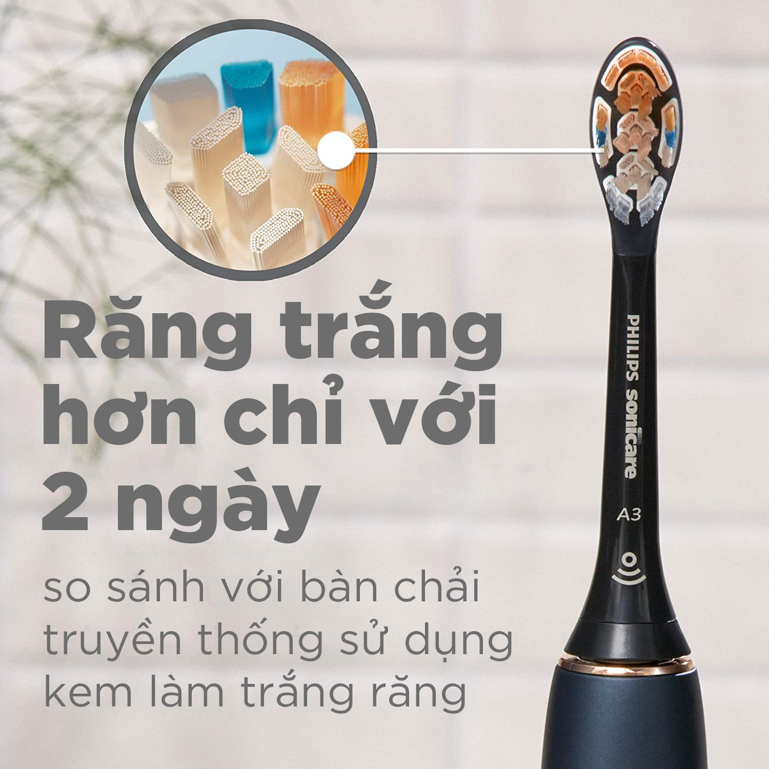 Đầu bàn chải điện Philips Sonicare A3 All-in-one