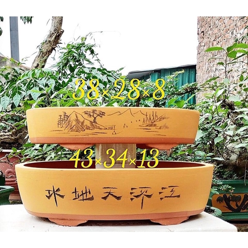 Chậu gốm tàu - chậu trồng cây bonsai ovan