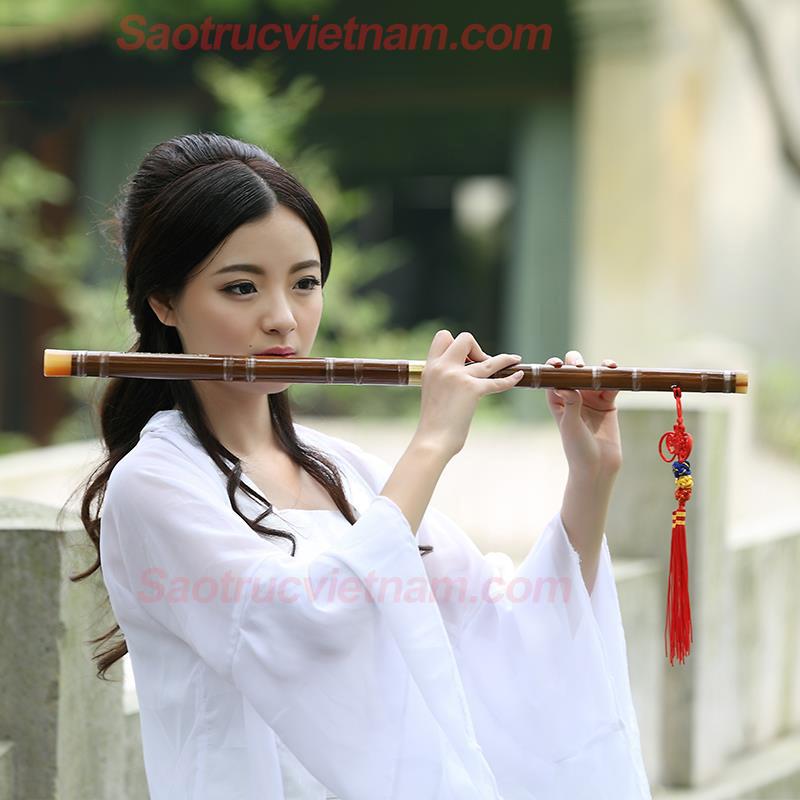 [HCM]Sáo Trúc ST03