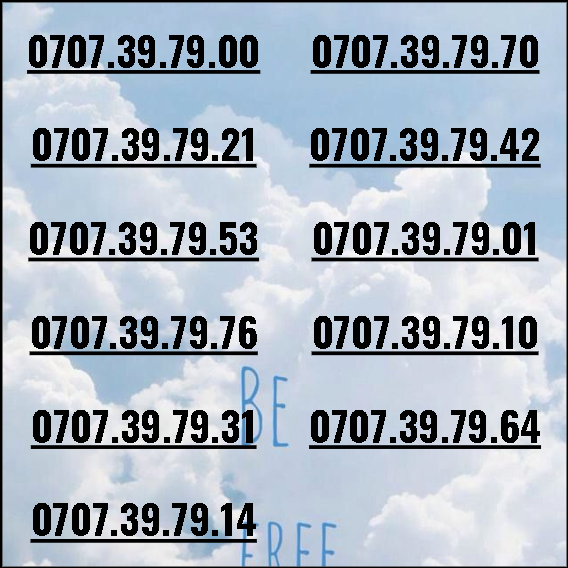 [HCM]Sim thần tài 3979